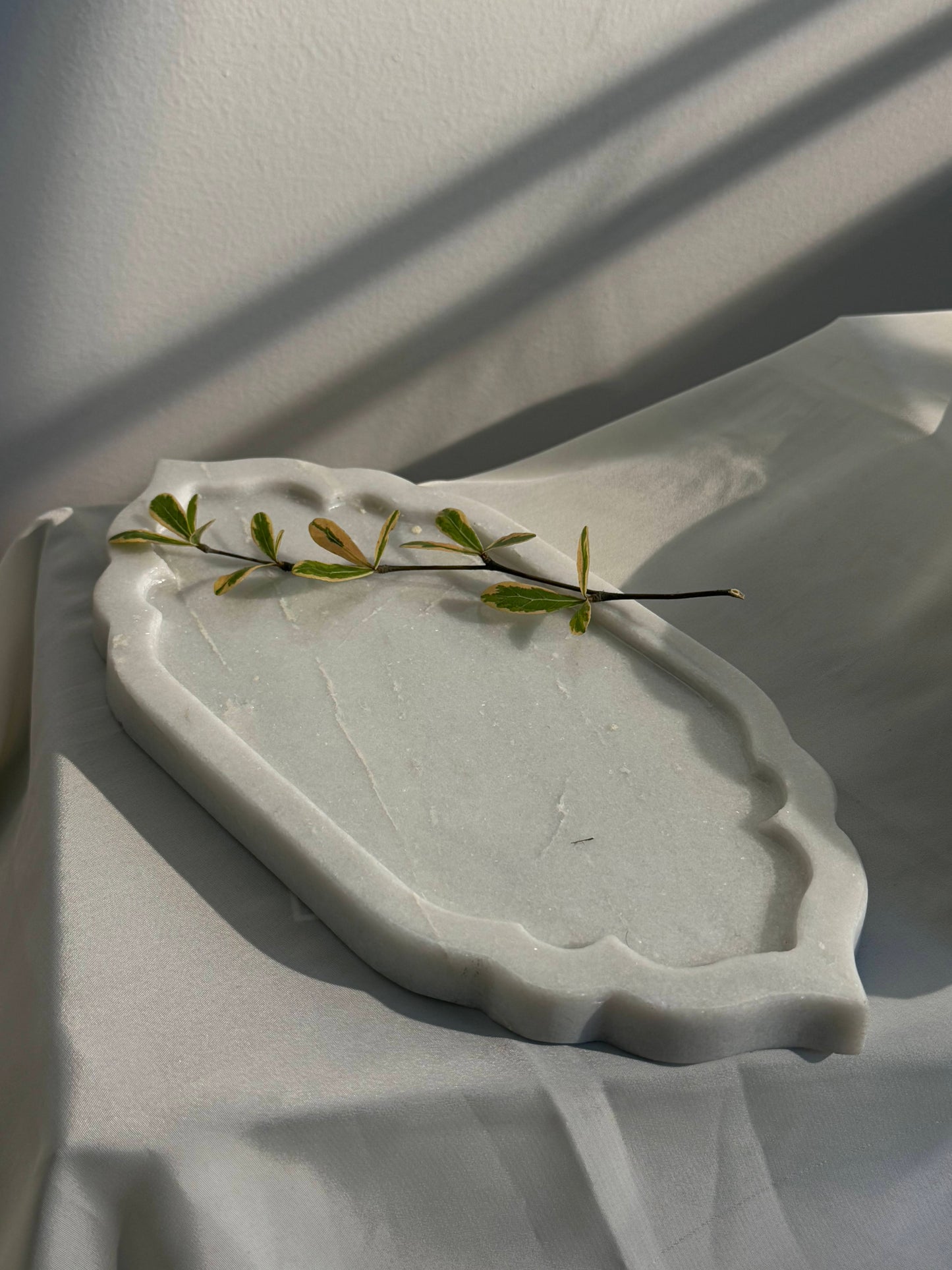 Merab Tray